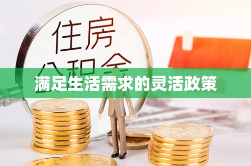 西乡满足生活需求的灵活政策
