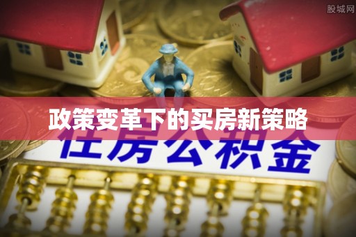 西乡政策变革下的买房新策略