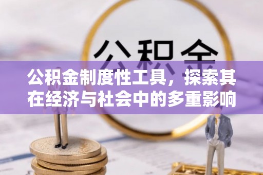 西乡公积金制度性工具，探索其在经济与社会中的多重影响