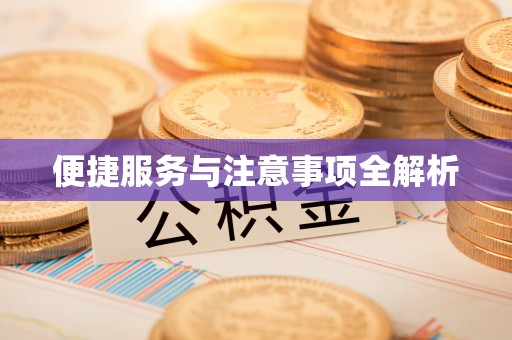 西乡便捷服务与注意事项全解析