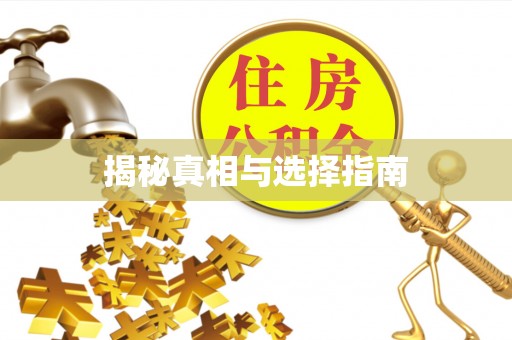 西乡揭秘真相与选择指南