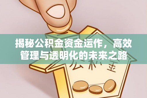 西乡揭秘公积金资金运作，高效管理与透明化的未来之路
