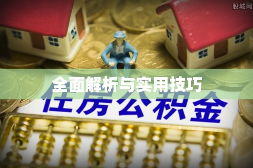 西乡全面解析与实用技巧
