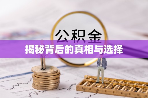 西乡揭秘背后的真相与选择