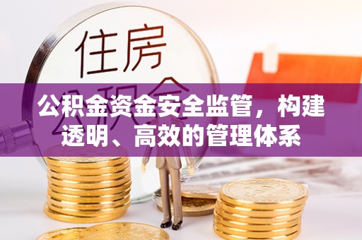 西乡公积金资金安全监管，构建透明、高效的管理体系