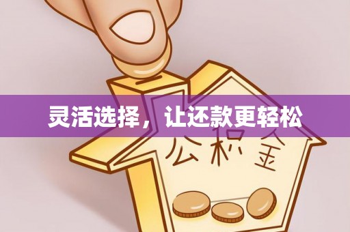 西乡灵活选择，让还款更轻松