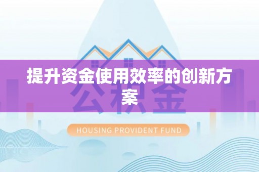 西乡提升资金使用效率的创新方案
