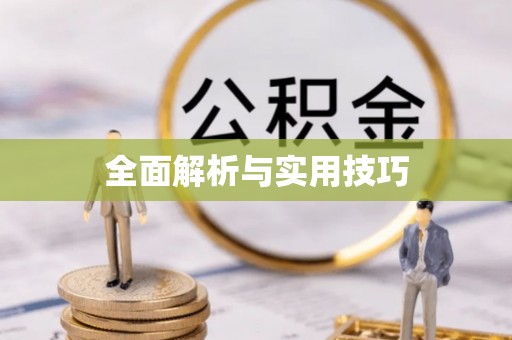 西乡全面解析与实用技巧