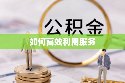 西乡如何高效利用服务