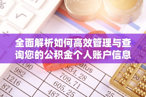 西乡全面解析如何高效管理与查询您的公积金个人账户信息