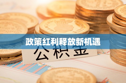 西乡政策红利释放新机遇
