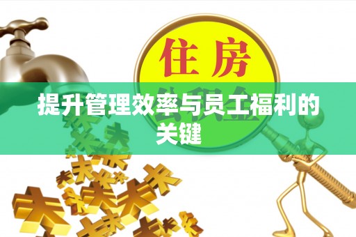 西乡提升管理效率与员工福利的关键