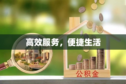 西乡高效服务，便捷生活