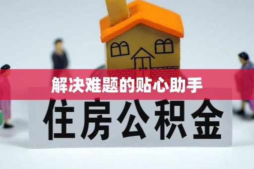 西乡解决难题的贴心助手