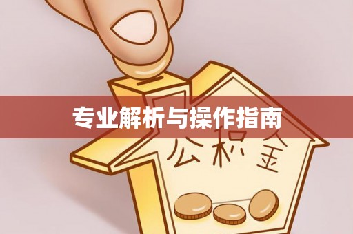 西乡专业解析与操作指南