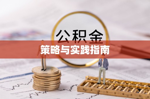 西乡策略与实践指南