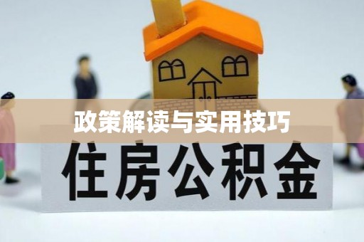西乡政策解读与实用技巧
