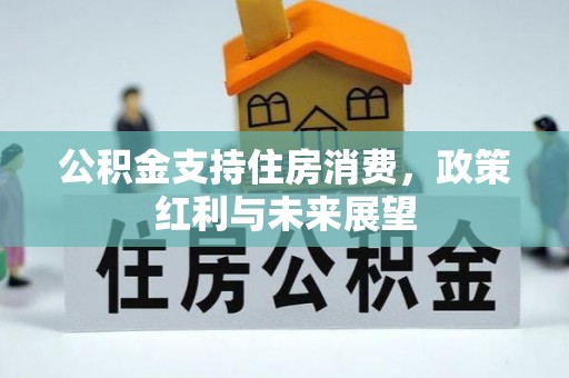 西乡公积金支持住房消费，政策红利与未来展望