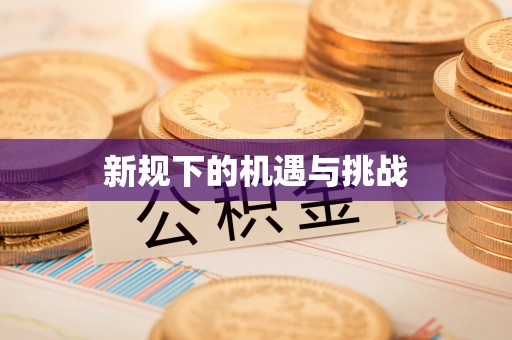 西乡新规下的机遇与挑战