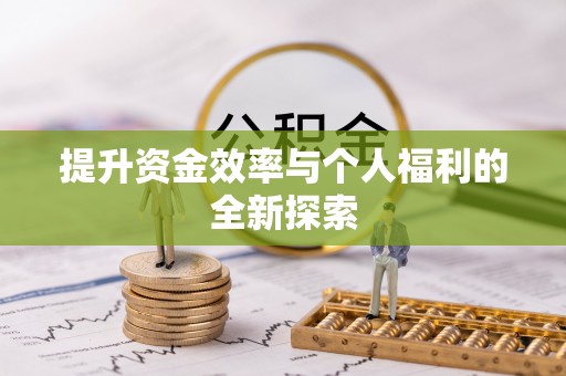 西乡提升资金效率与个人福利的全新探索