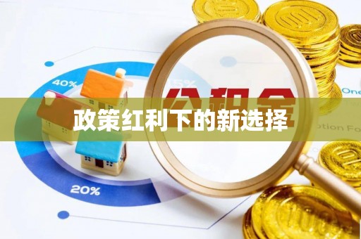 西乡政策红利下的新选择