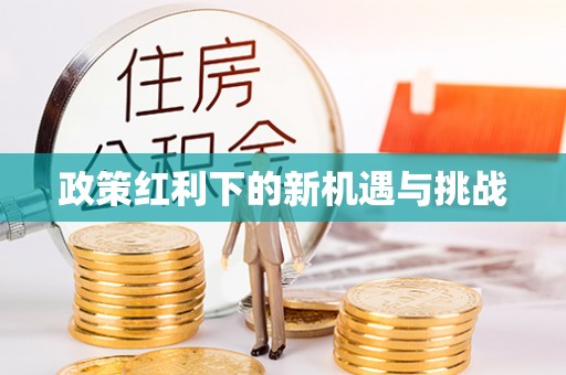 西乡政策红利下的新机遇与挑战