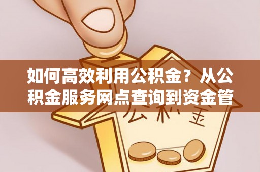 西乡如何高效利用公积金？从公积金服务网点查询到资金管理全攻略
