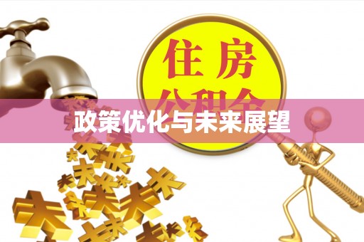 西乡政策优化与未来展望