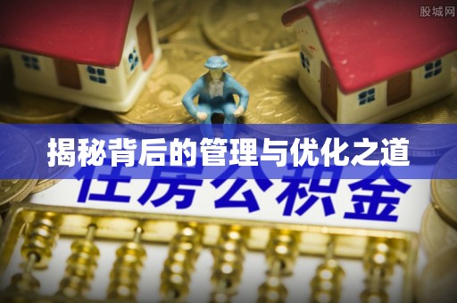 西乡揭秘背后的管理与优化之道