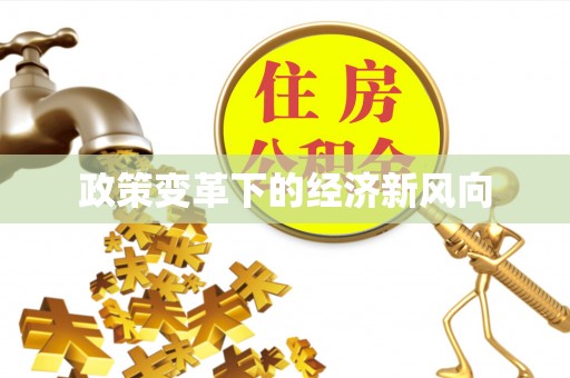 西乡政策变革下的经济新风向