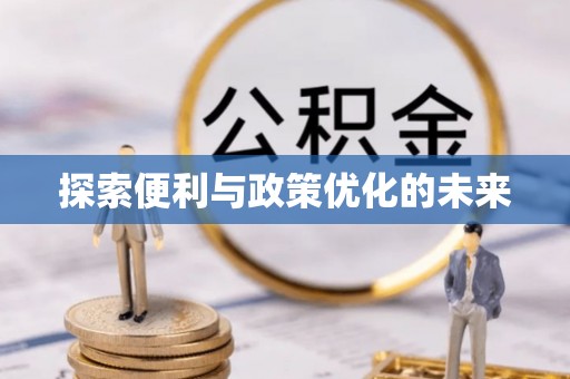 西乡探索便利与政策优化的未来