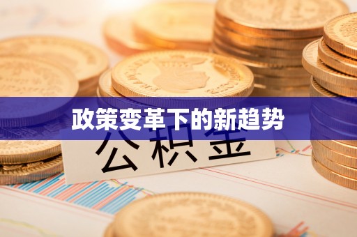 西乡政策变革下的新趋势