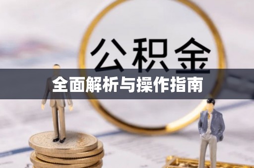 西乡全面解析与操作指南