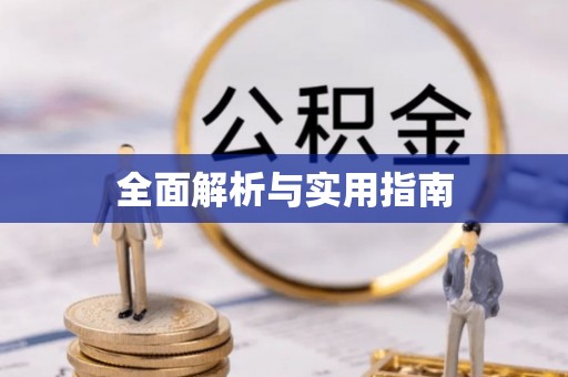 西乡全面解析与实用指南