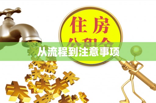西乡从流程到注意事项