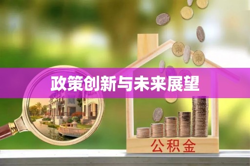 西乡政策创新与未来展望