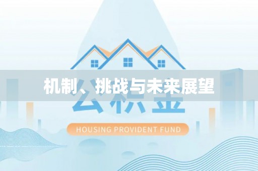 西乡机制、挑战与未来展望