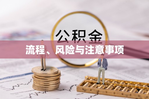 西乡流程、风险与注意事项