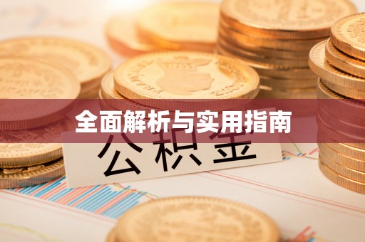 西乡全面解析与实用指南