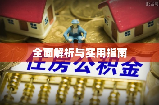 西乡全面解析与实用指南
