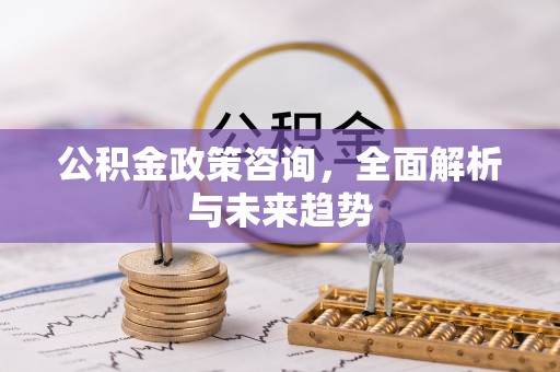 西乡公积金政策咨询，全面解析与未来趋势